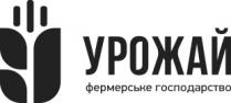 господарство, фермерське, урожай, урожай фермерське господарство