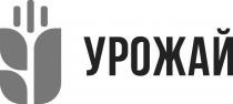 урожай