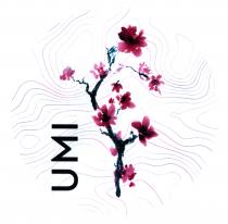 umi