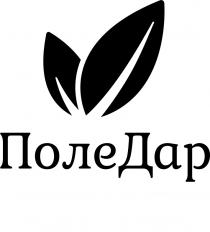 дар, поле, поледар