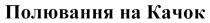 качок, полювання, полювання на качок