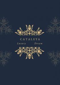 dream, luxury, cataleya, cataleya luxury dream
