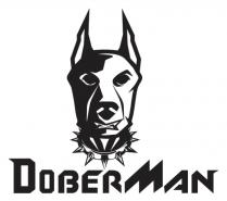 man, dober, dober man, doberman
