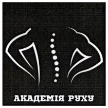 руху, академія, академія руху