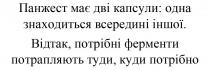 потрібно, куди, туди, потрапляють, ферменти, потрібні, відтак, відтак, потрібні ферменти потрапляють туди, куди потрібно, іншої, всередині, знаходиться, одна, капсули, дві, має, панжест, панжест має дві капсули: одна знаходиться всередині іншої