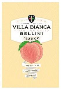 fermentazione, di, prodotto, prodotto di fermentazione naturale, bianco, naturale, sidro naturale, perfetta, qualita, qualita perfetta, bellini, gusto, con, sidro, bianca, villa, villa bianca sidro con gusto bellini