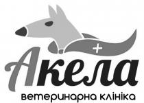 +, клініка, ветеринарна, акела, акела ветеринарна клініка