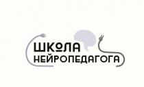 нейропедагога, школа, школа нейропедагога