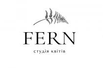 квітів, студія, студія квітів, fern