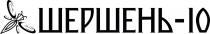 10, шершень, шершень-10