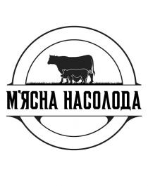 насолода, мясна, м`ясна, м`ясна насолода
