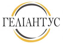геліантус