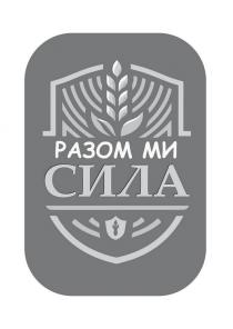 сила, ми, разом, разом ми сила