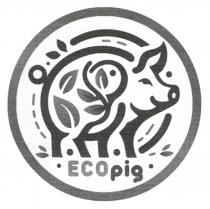 есо, pig, eco, ecopig