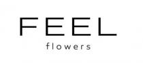 flowers, feel, feel flowers