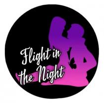 night, flight, flight in the night