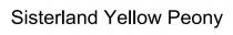peony, yellow, sisterland, sisterland yellow peony