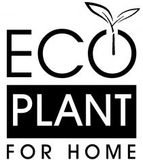 есо, номе, for home, plant, есо, есо plant for home