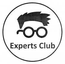 club, experts, experts club