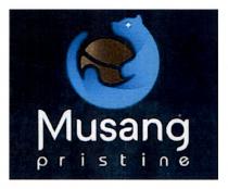 pristine, musang, musang pristine