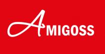 amigoss