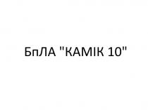 10, камік, бпла, бпла камік 10