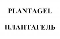 плантагель, plantagel