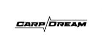 dream, carp, carp dream