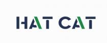 сат, нат, нат сат, cat, hat, hat cat