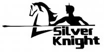 knight, silver, silver knight
