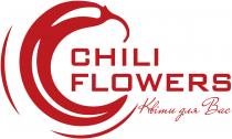 flowers, chili, c, с, квіти, квіти для вас, chili flowers