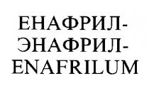 енафрил энафрил enafrilum, enafrilum, енафрил, энафрил