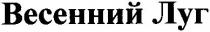 весенний луг, весенний, луг