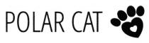 polar cat, polar, cat
