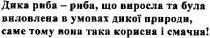 дика риба - риба, що виросла та була виловлена в умовах дикої природи, саме тому вона така корисна і смачна!, дика, риба, виросла, була, виловлена, умовах, дикої, природи, вона, така, корисна, смачна