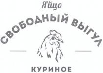 яйцо куриное свободный выгул, яйцо, куриное, свободный, выгул