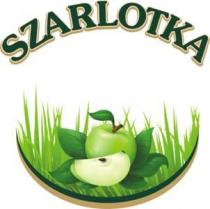 szarlotka