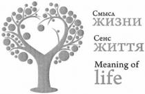 meaning of life, meaning, life, сенс життя, сенс, життя, смысл жизни, смысл, жизни