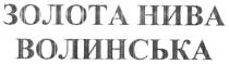 золота нива волинська, золота, нива, волинська
