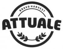 attuale, bravo harvest, bravo, harvest