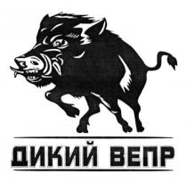 дикий вепр, дикий, вепр