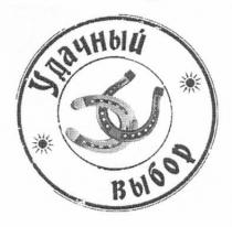 удачный выбор, удачный, выбор