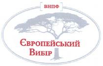 внпф європейський вибір, внпф, європейський, вибір