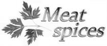 meat spices, meat, spices