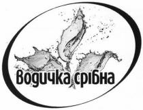 водичка срібна, водичка, срібна