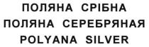 поляна срібна, поляна, срібна, поляна серебряная, серебряная, polyana silver, polyana, silver