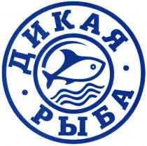 дикая рыба, дикая, рыба
