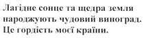 лагідне сонце та щедра земля народжують чудовий виноград. це гордість моєї країни, лагідне, сонце, щедра, земля, народжують, чудовий, виноград, це, гордість, моєї, країни