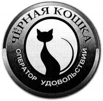 чёрная кошка, чёрная, черная, кошка, оператор удовольствий, оператор, удовольствий