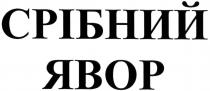 срібний явор, срібний, явор